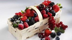 Горски плодове - Десерт с малко калории