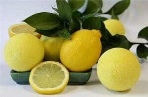 Лимон и метаболизъм