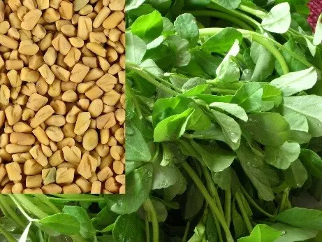 Сминдух - Fenugreek за натурално повишаване на тестостерона при мъже и регулация при жени