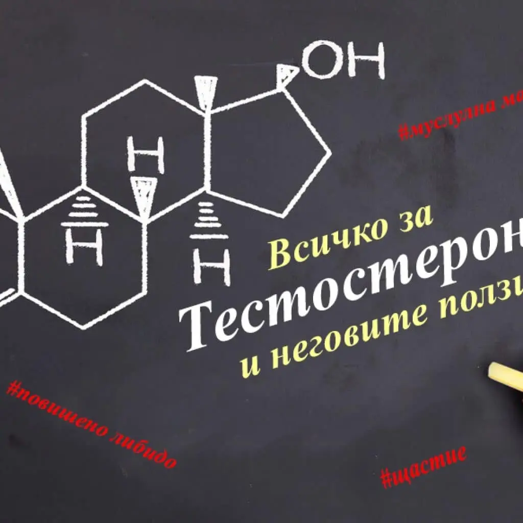 Тестостерон Какво представлява Всичко за него 
