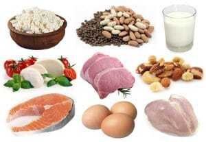 Храни богати на протеин