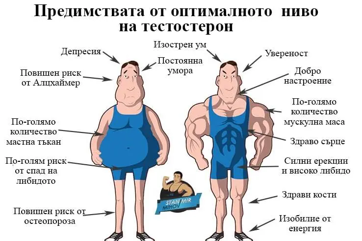 предимства ползи оптимално ниво тестостерон