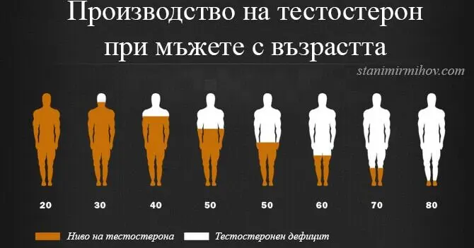 Количество Тестостерон Възраст