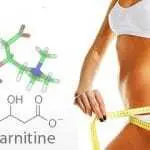 Л-Карнитин – Отслабване, Странични ефкети, Действие и Прием | L-Carnitine