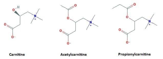 Химична структура на Л-Карнитин и Ацетил-Л-Карнитин (ALCAR)