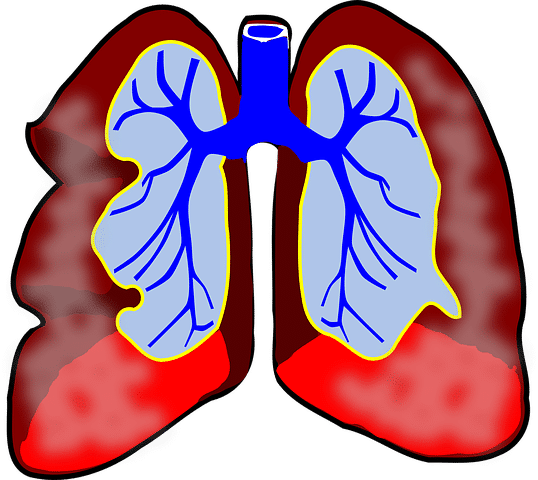астма и селен