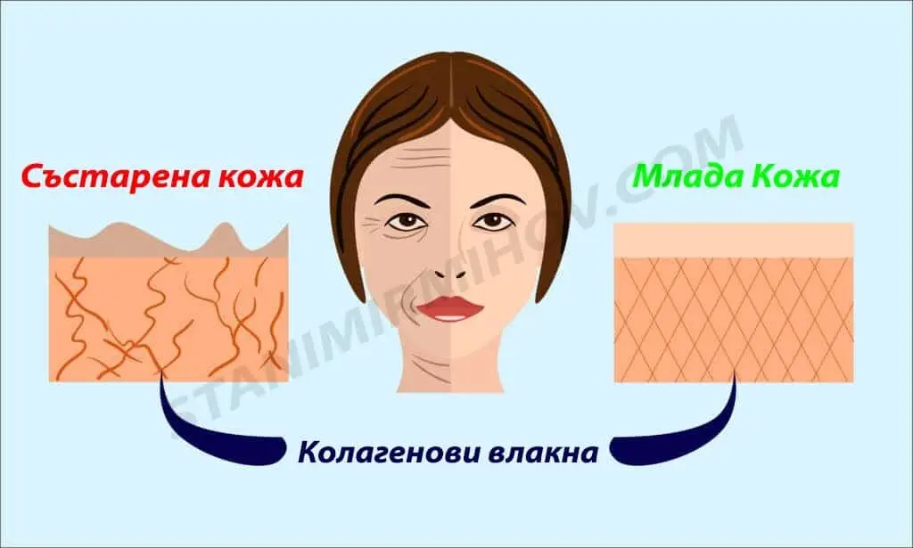 колаген комплекс